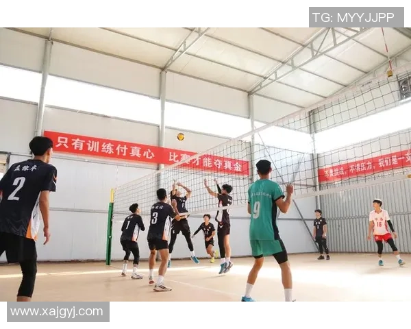 武汉排球队在排球意识排行榜中荣获第二名引发广泛关注与讨论